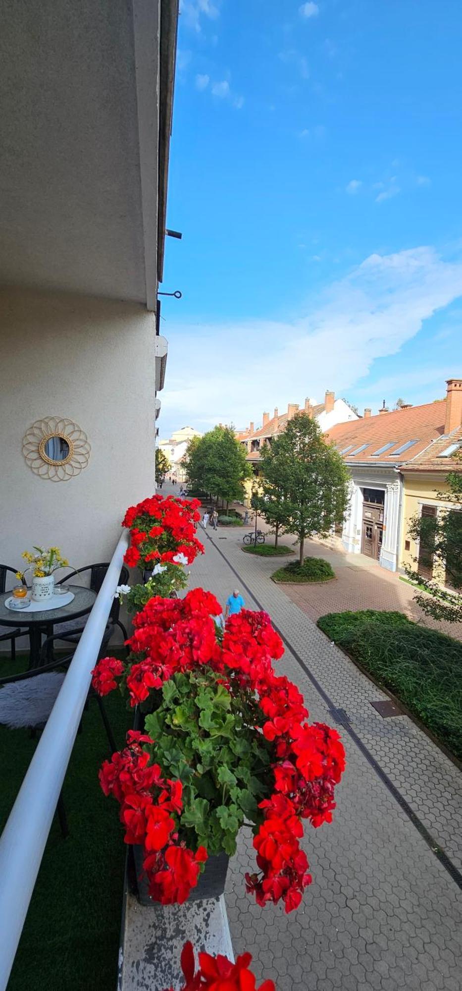 Anna Gyoengye Apartman Debrecen Buitenkant foto